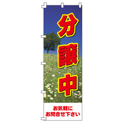 分譲中のぼり600mmx1800mm